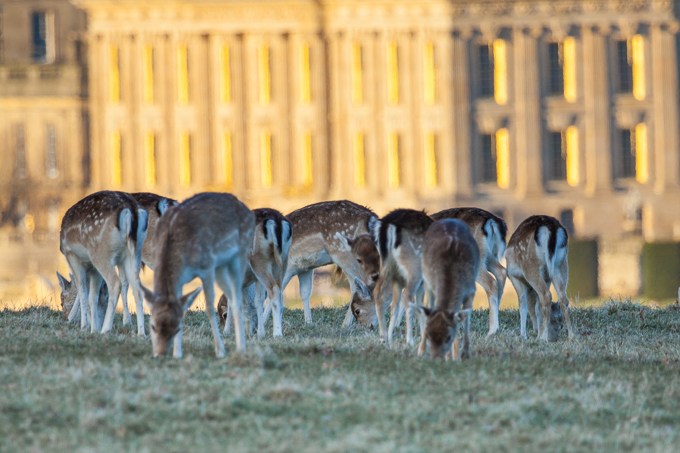 Chatsworth 2015 (10)